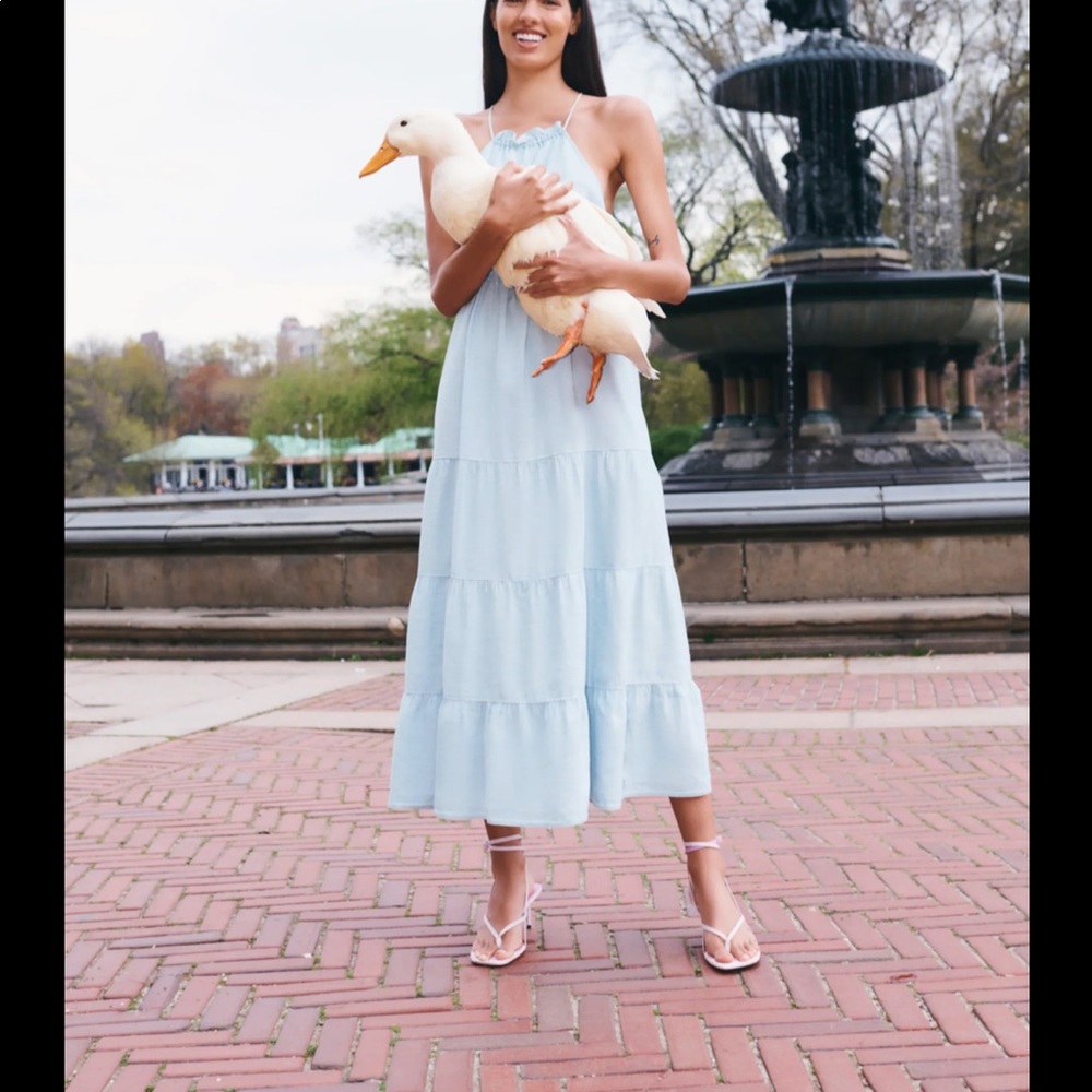 Zara Linen Blend Dress